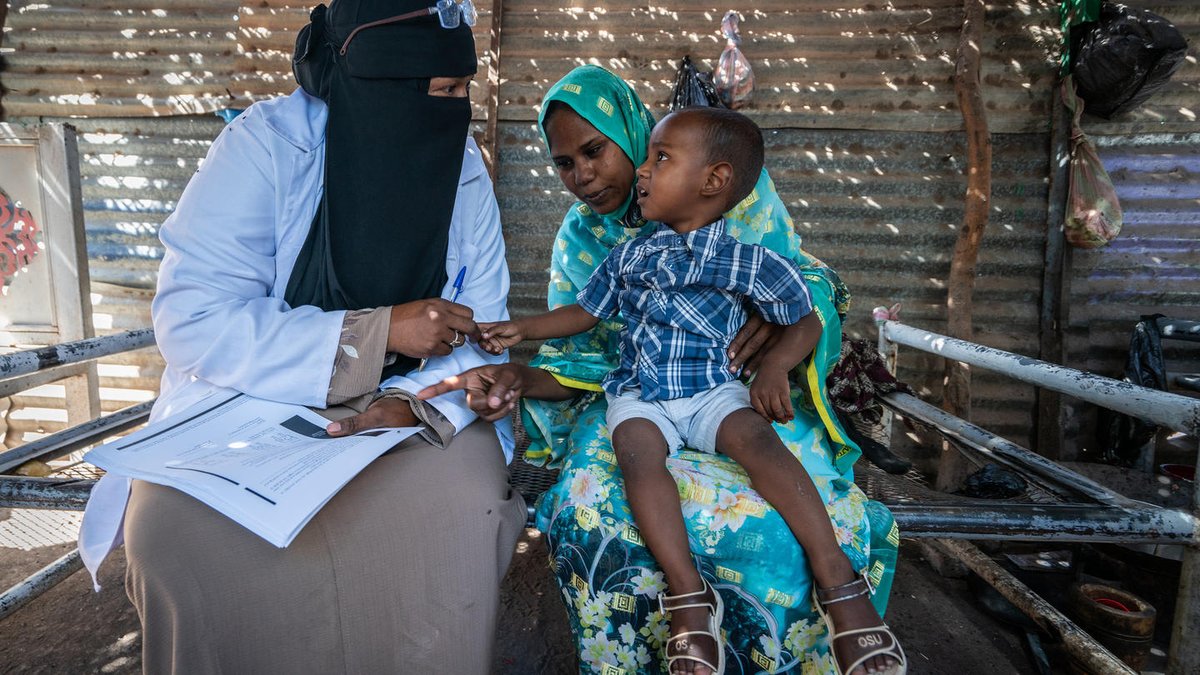 ONU Desarrollo tweet media