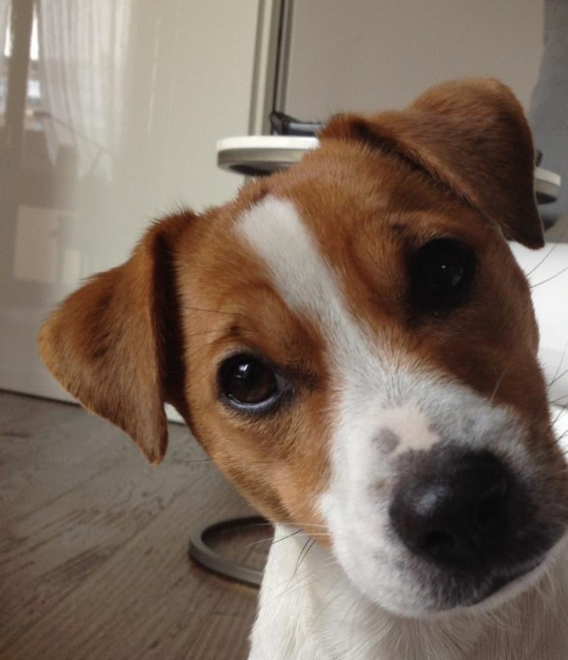 juni 🪲 tweet media