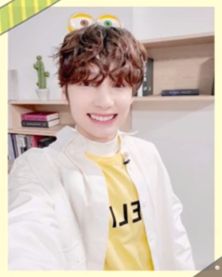 ningdungies que tweet media