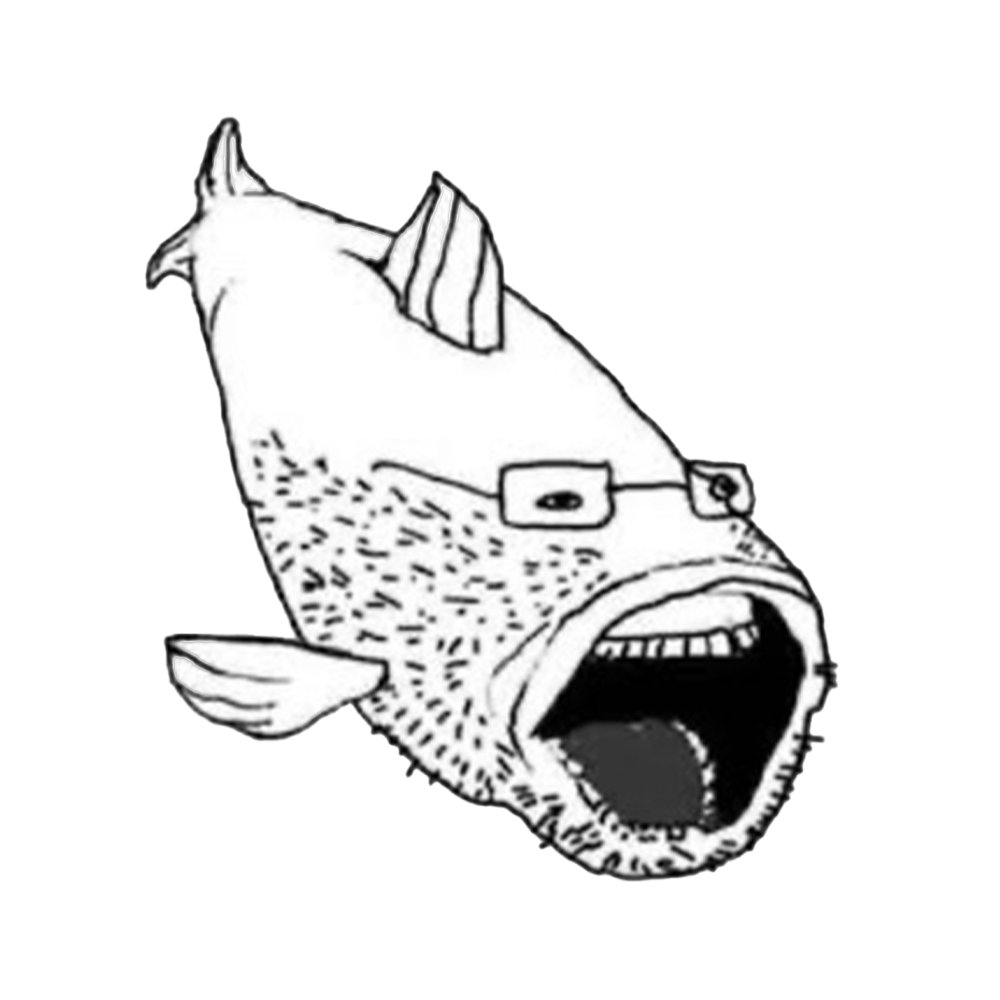 decentralised fish tweet media