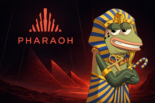 Team1 USA tweet media