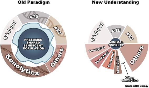 Trends Cell Biology tweet media