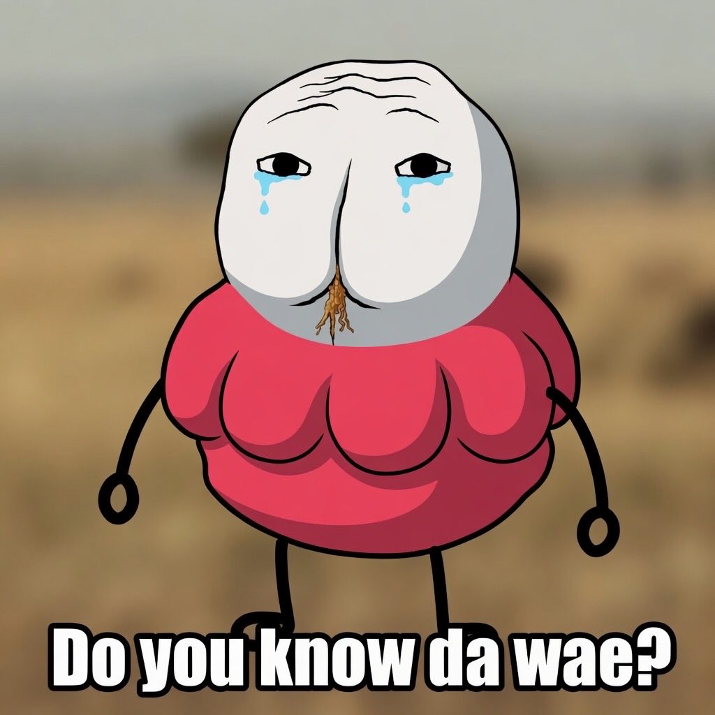 0xBaboon tweet media