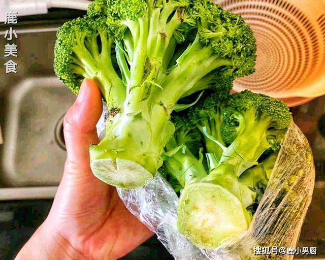 sandra barbosa tweet media