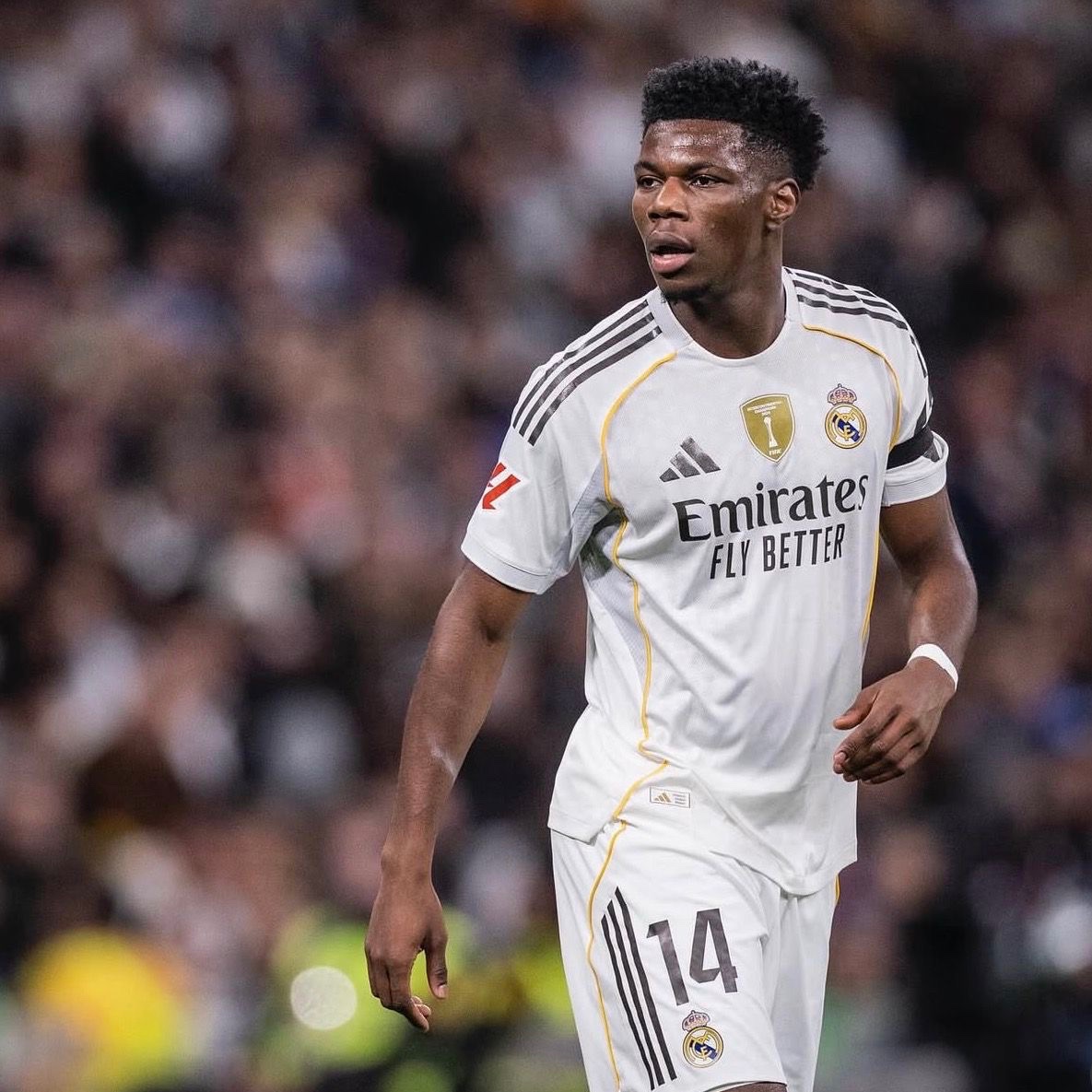 Madrid Xtra tweet media