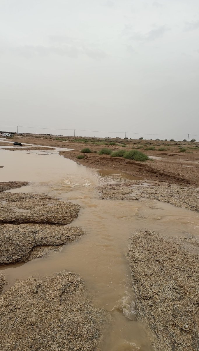 #مساء_الخير_والسعادة