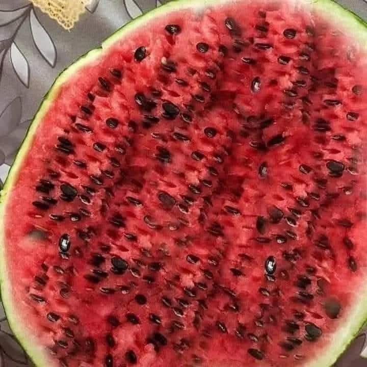 𝐀𝐝𝐡𝐚𝐦🪄 tweet media