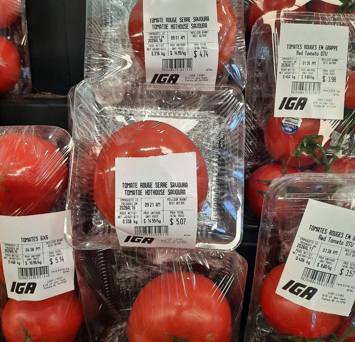 🌸simplycanadian🌸 tweet media