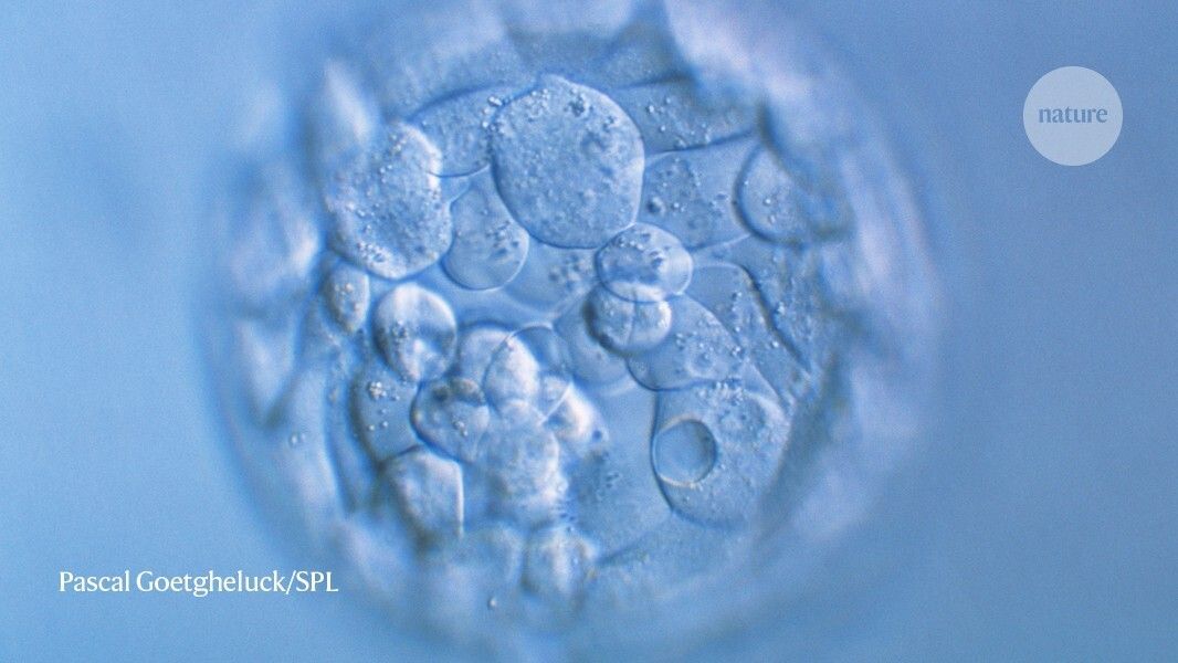 BioTech_Awards's tweet image. CRISPR gene editing in human embryos wreaks chromosomal mayhem - Nature

nature.com/articles/d4158…

#biotech #geneediting #genomeengineering #lifesciences #drugdevelopment #biomedical