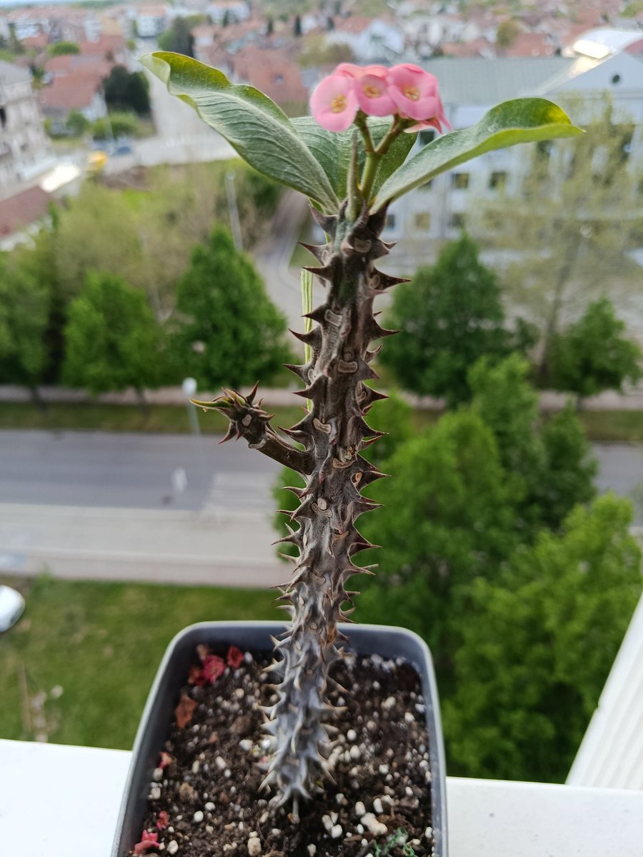 Posle tolikooo godina :)