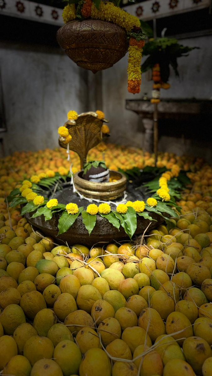 Sunny Swati Vinayak Nimhan tweet media