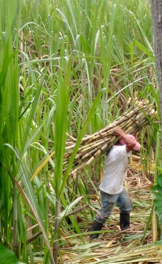 Alpha Index Pro tweet media