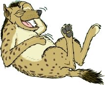 Tao of Stevie 🍊 tweet media