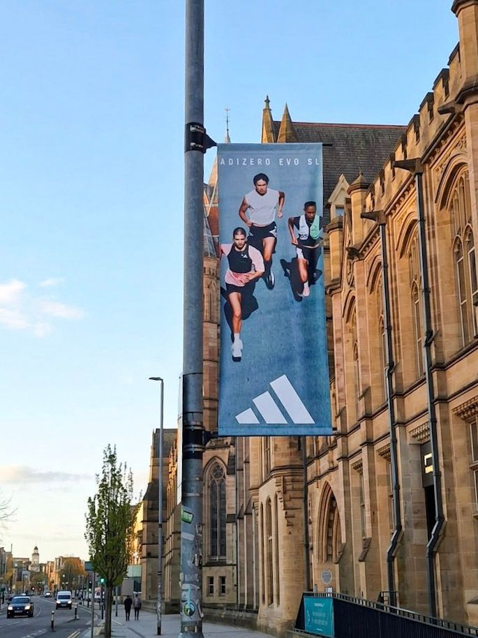 Bay Media tweet media