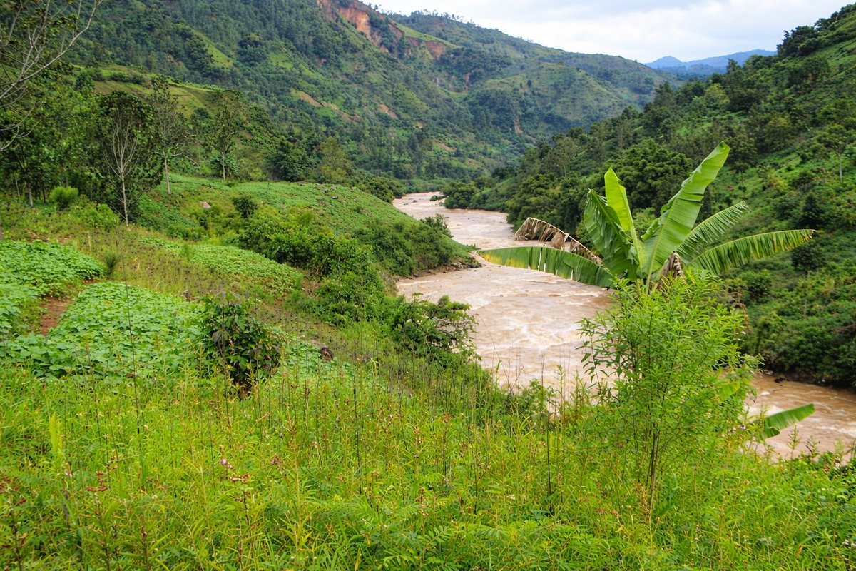 fesd1978's tweet photo. FESD, environmental issue along the Rusizi River, Nzahaha Sector. Lack of vegetation is causing soil erosion and ecosystem damage.
FESD, with support from RestoreLocal through #TerraFund for AFR100, is working on restoration. https://t.co/rvTIhfNcmt
