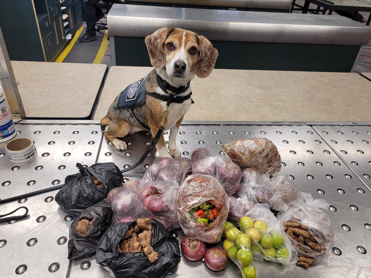 Executive Asst. Commissioner Diane J. Sabatino tweet media