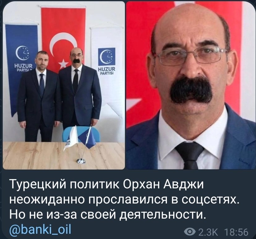 Ультравасилий и кот 𝕏 tweet media