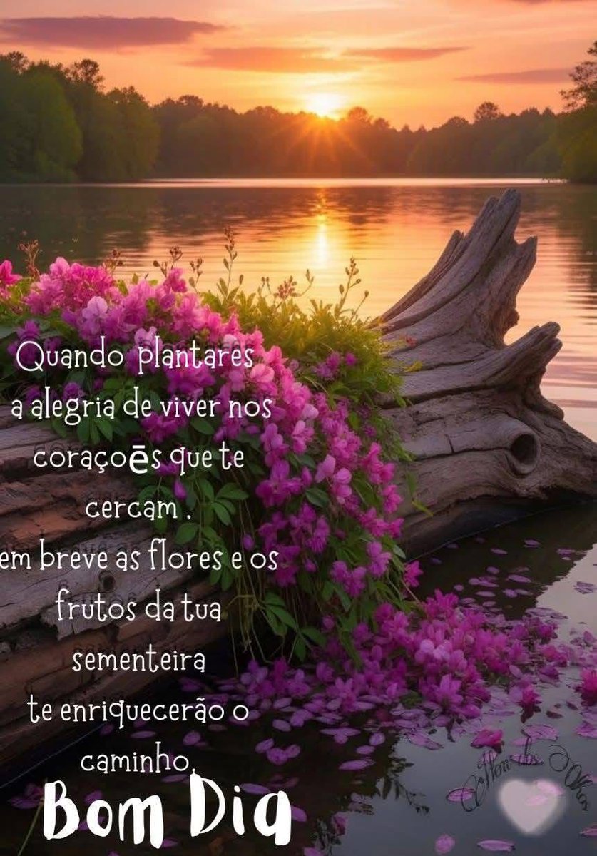 ❤ 🐈🐱🐾 tweet media