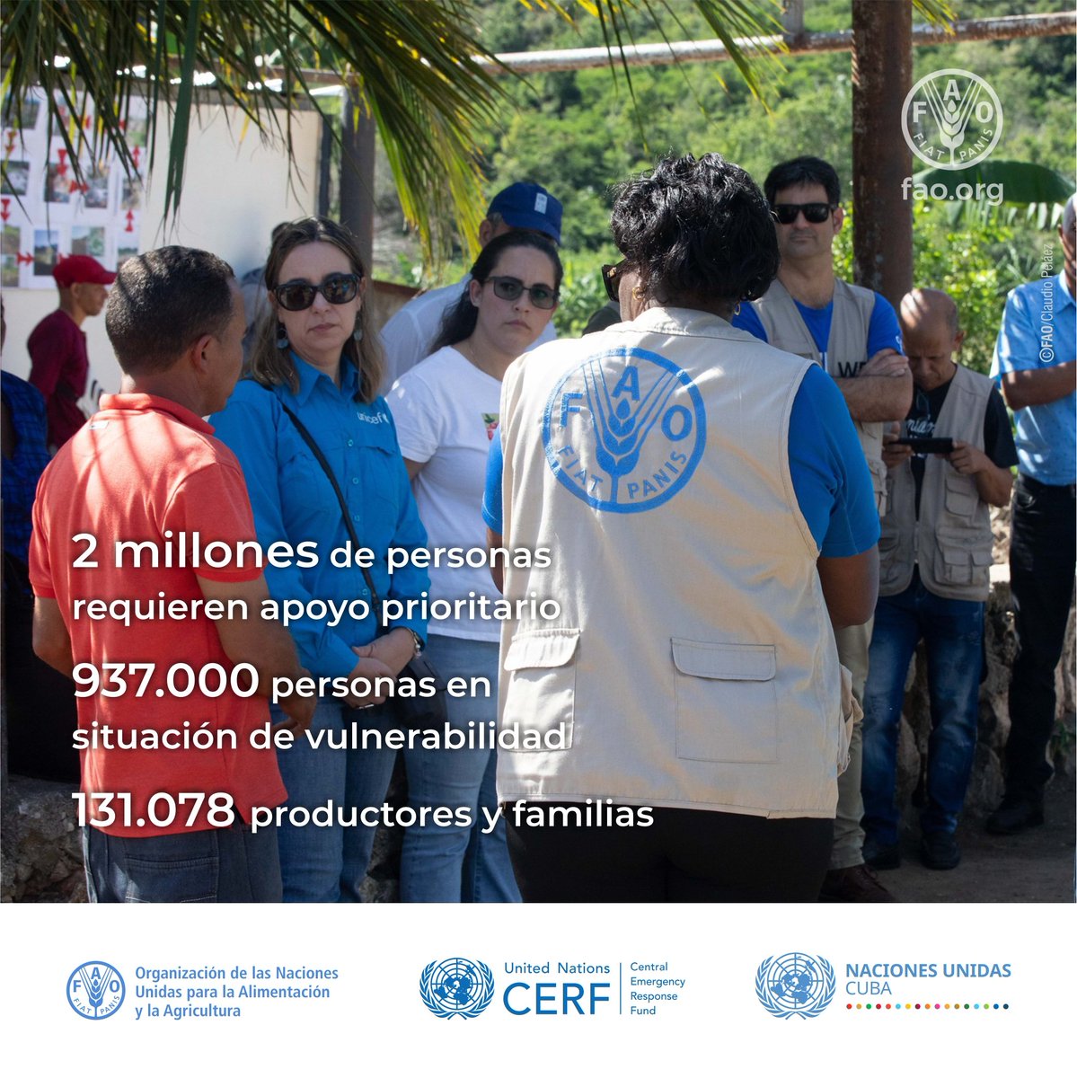 FAOCuba's tweet photo. Ante la contingencia energética y los impactos del huracán Melissa, @ONU_Cuba impulsa plan de 94,1 millones de USD para apoyar 2 millones de personas. Desde @FAOCuba llegamos a 131.078 productores con semillas, abonos, sistemas de riego y apoyo a movilidad sostenible @OCHAFunds https://t.co/C9OXRjRh3l