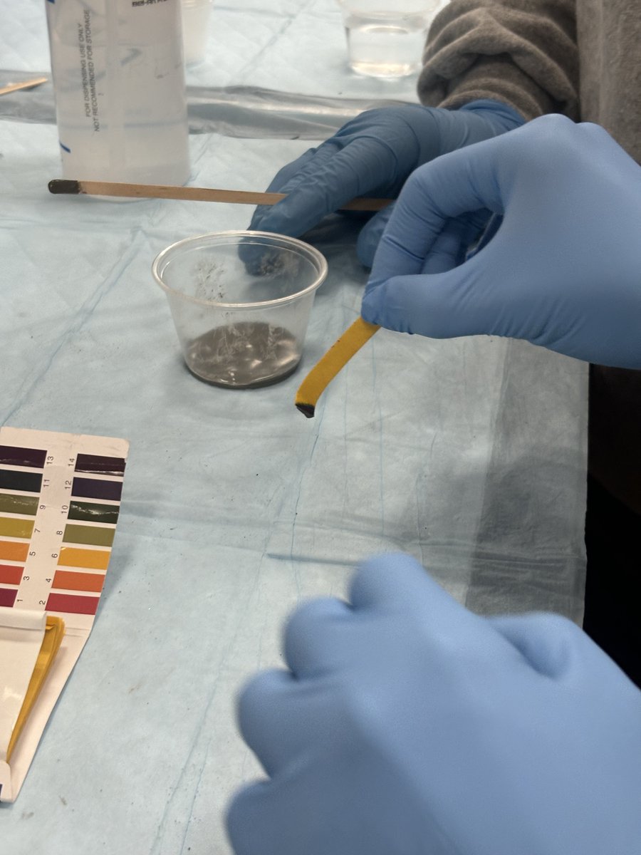 TulaneSSE's tweet photo. From New Orleans to the Moon. Tulane students Zack Herbst, Charlie Goldstein, and their team are developing lunar cement, a construction material made from moon soil, in partnership with NASA. 🚀

Read more: https://t.co/LNbYPdrFOW https://t.co/Xvocj8w4ty