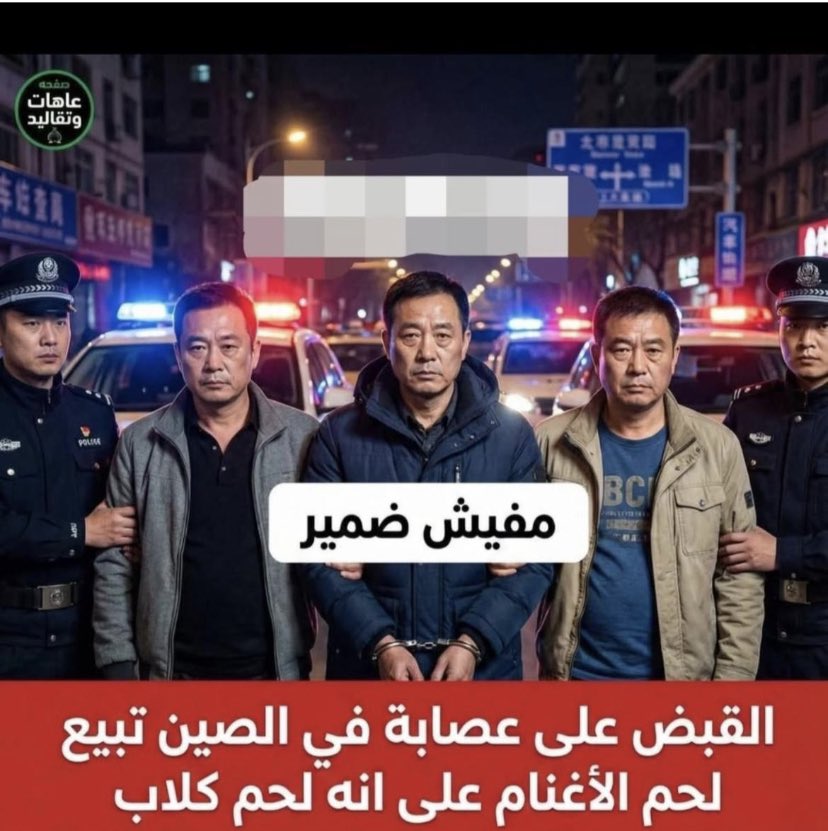 اغنام ___ ( مباشر ) tweet media