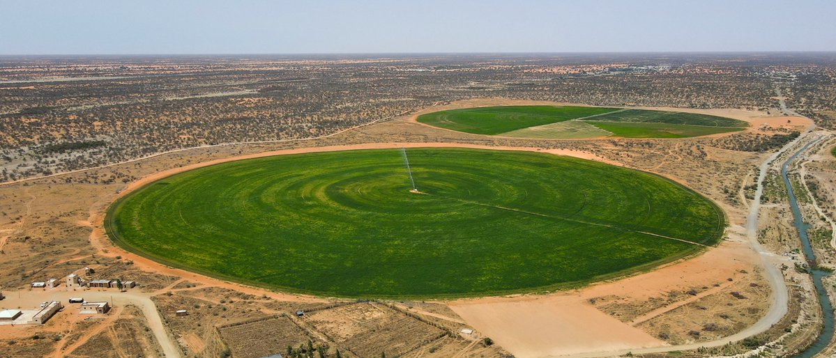 BM_Afrique's tweet image. #Mauritanie | Le Groupe de la @Banquemondiale accompagne les réformes qui libèrent le potentiel du secteur privé.
@IFC_org a travaillé aux côtés du gvmt 🇲🇷 pour élaborer un cadre d’investissement + lisible &amp;amp; + efficace.
➡️nvelles perspectives pr les #PME.
ifc.org/fr/stories/202…