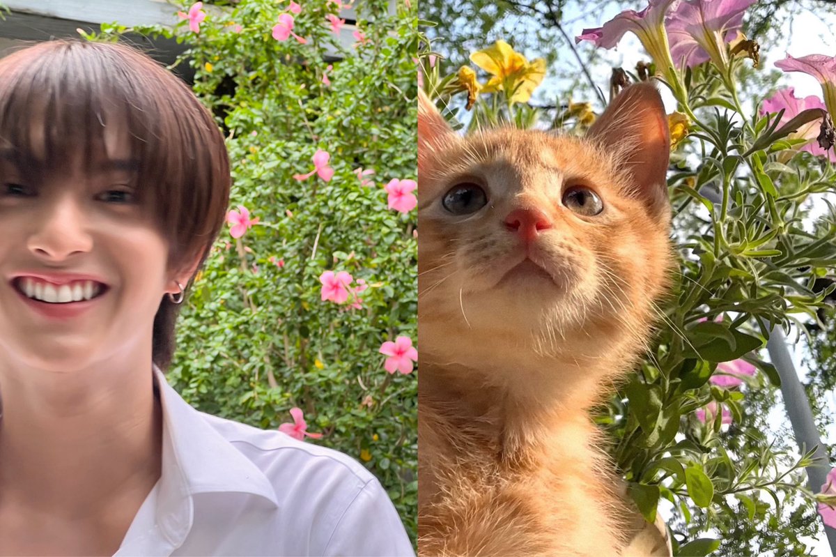 PAONI (เปานิ) tweet media