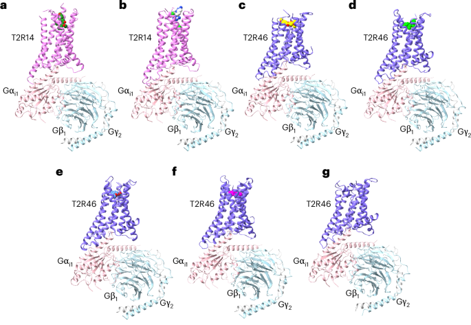 NatureStructMolBiol tweet media