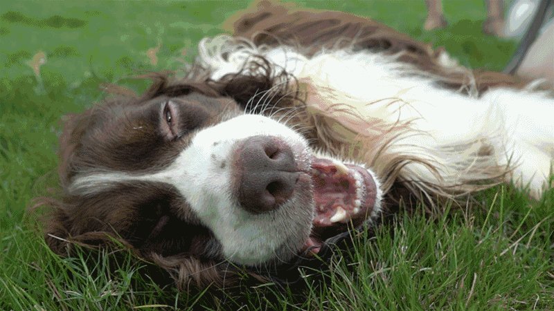 Rakesh Kumar tweet media