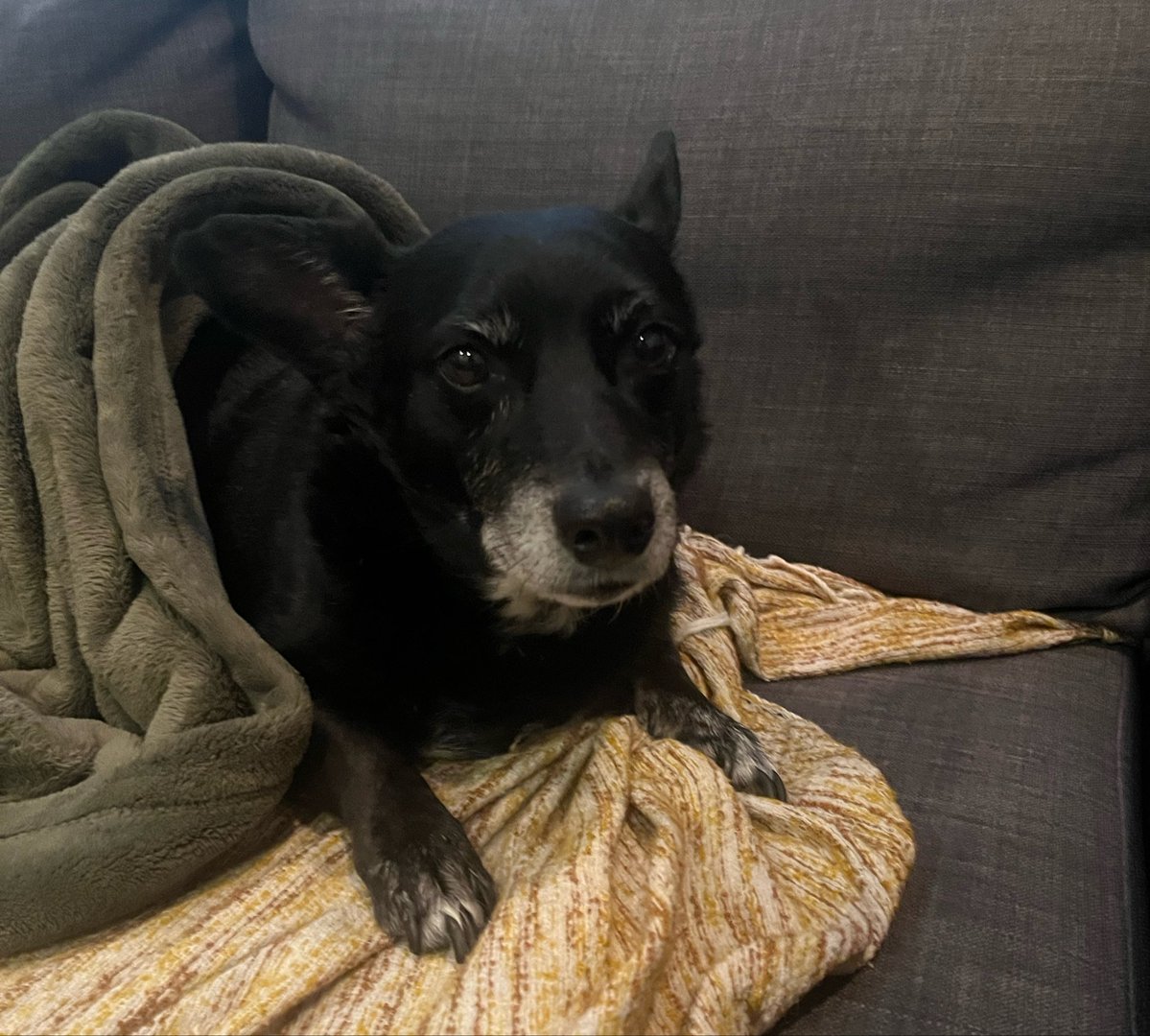 Samantha Ruddy tweet media