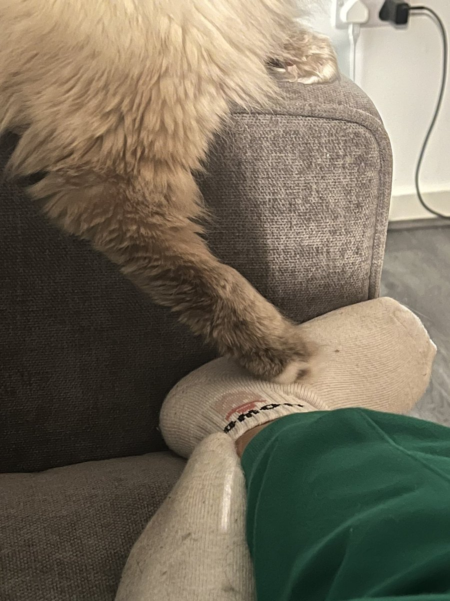 🌩️ Jiji 🌩️ tweet media