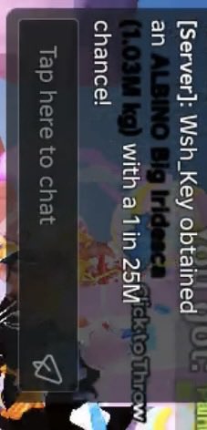 Panda🐼 tweet media