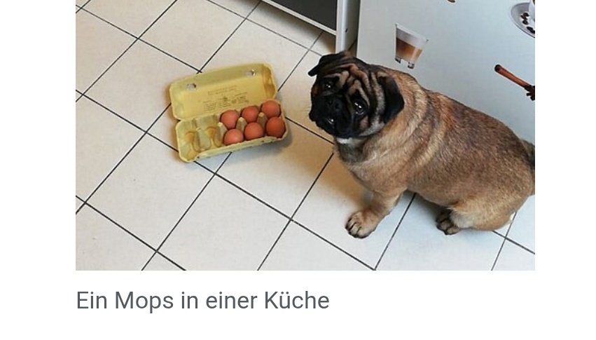 Bielefelder Schuft tweet media