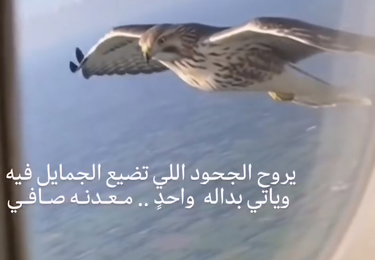 ..أُمي جنّة.. tweet media