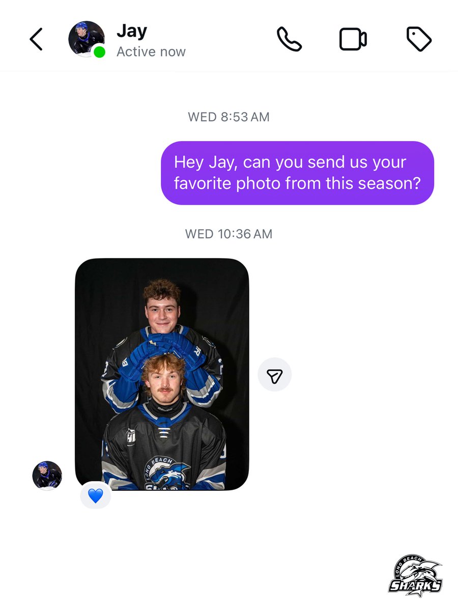 Long Beach Sharks tweet media