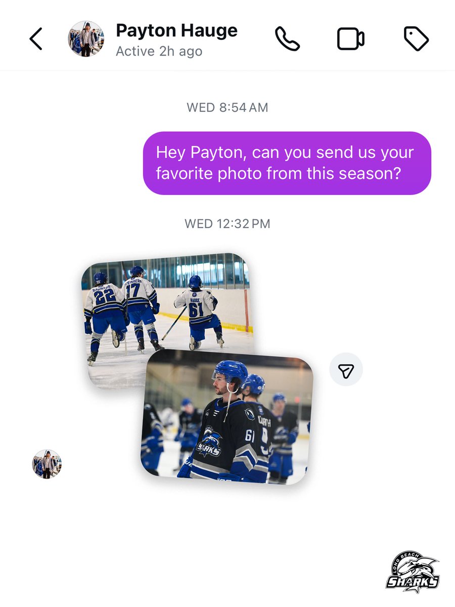 Long Beach Sharks tweet media