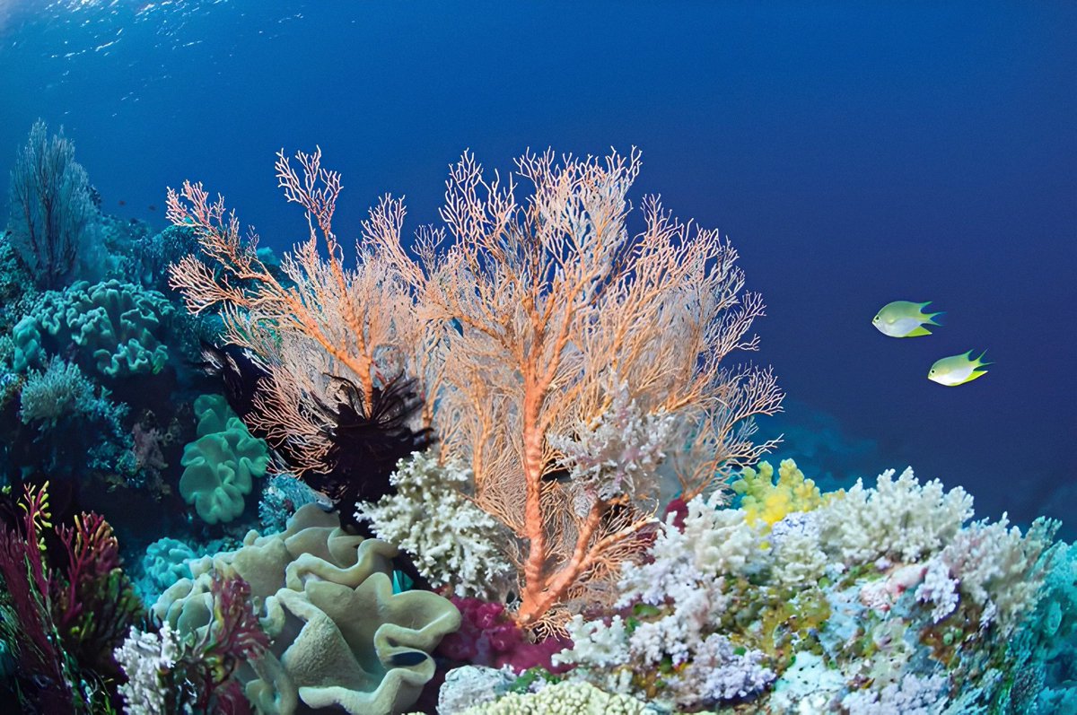 𝑙𝑦𝑟𝑎 tweet media