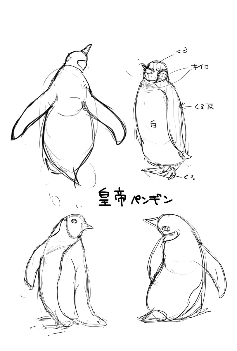 るね 『天宮図刊』 tweet media