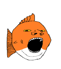 decentralised fish tweet media