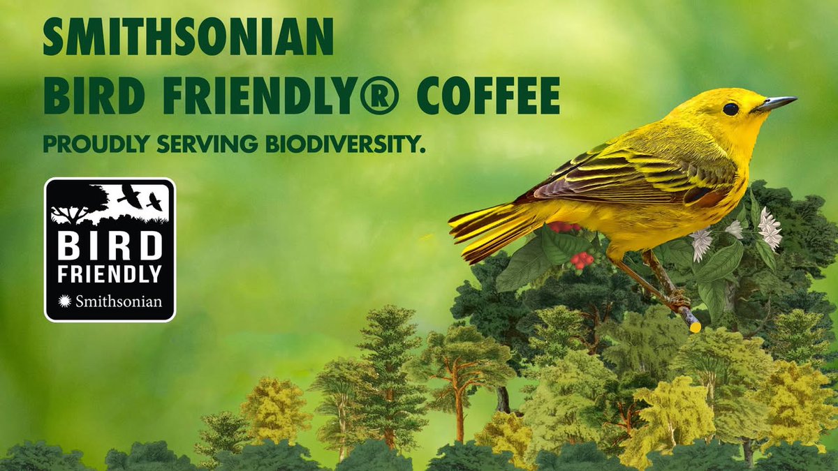 Smithsonian Migratory Bird Center tweet media