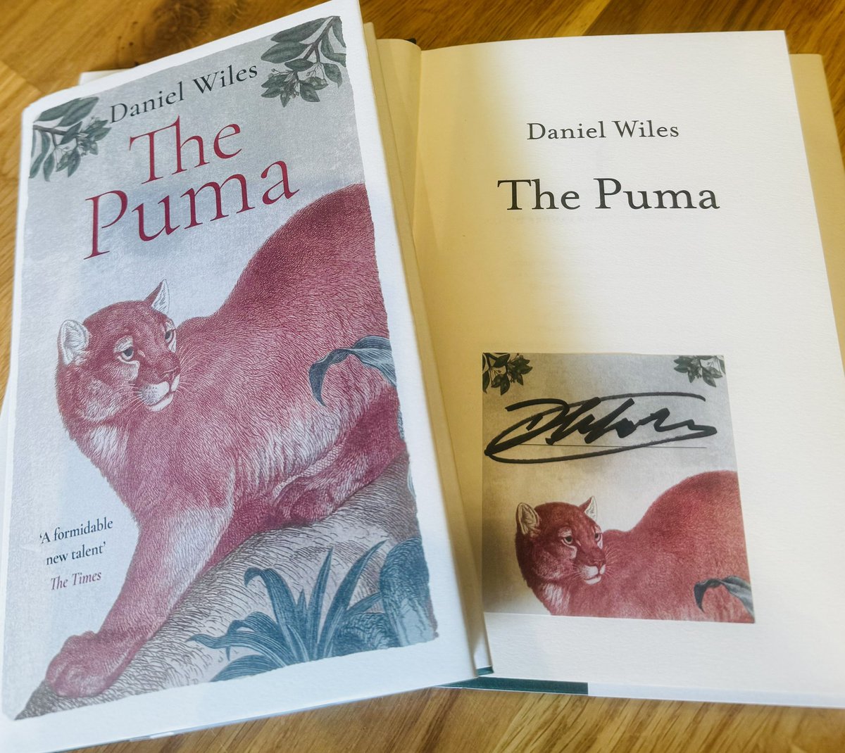 foxlanebooks's tweet image. We still have a couple of #SIGNED copies of THE PUMA by @danswiles , published by @_SwiftPress

A gripping novel asking what a father will do to ensure his family’s survival, and who he becomes when it is no longer enough. 

foxlanebooks.co.uk/product-page/p…

#IndieBookshop #BookTwitter