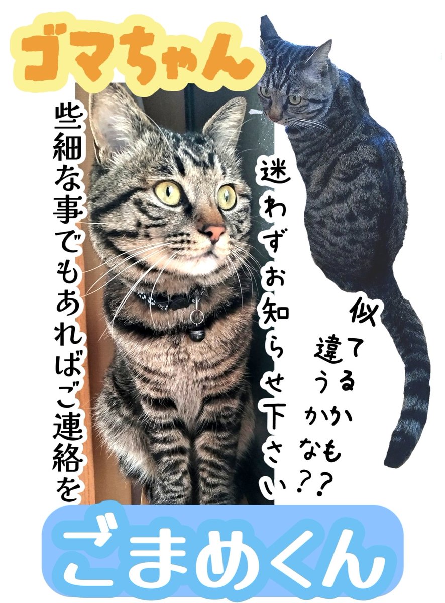 イチマツ tweet media