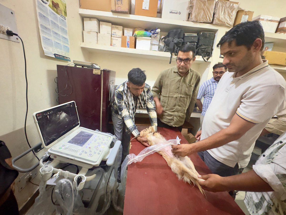 HSVA1987's tweet photo. HSVA expresses its profound  appreciation on the benevolent initiative of AHD, Haryana for new ultrasound machines to veterinary polyclinics. We convey our. sincere gratitude to the Government for this commendable step. @NayabSainiBJP @shamsingh_rana @mlkhattar https://t.co/Bbc84dwQuJ