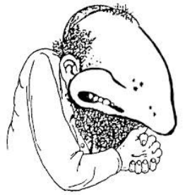 Black Johnny tweet media