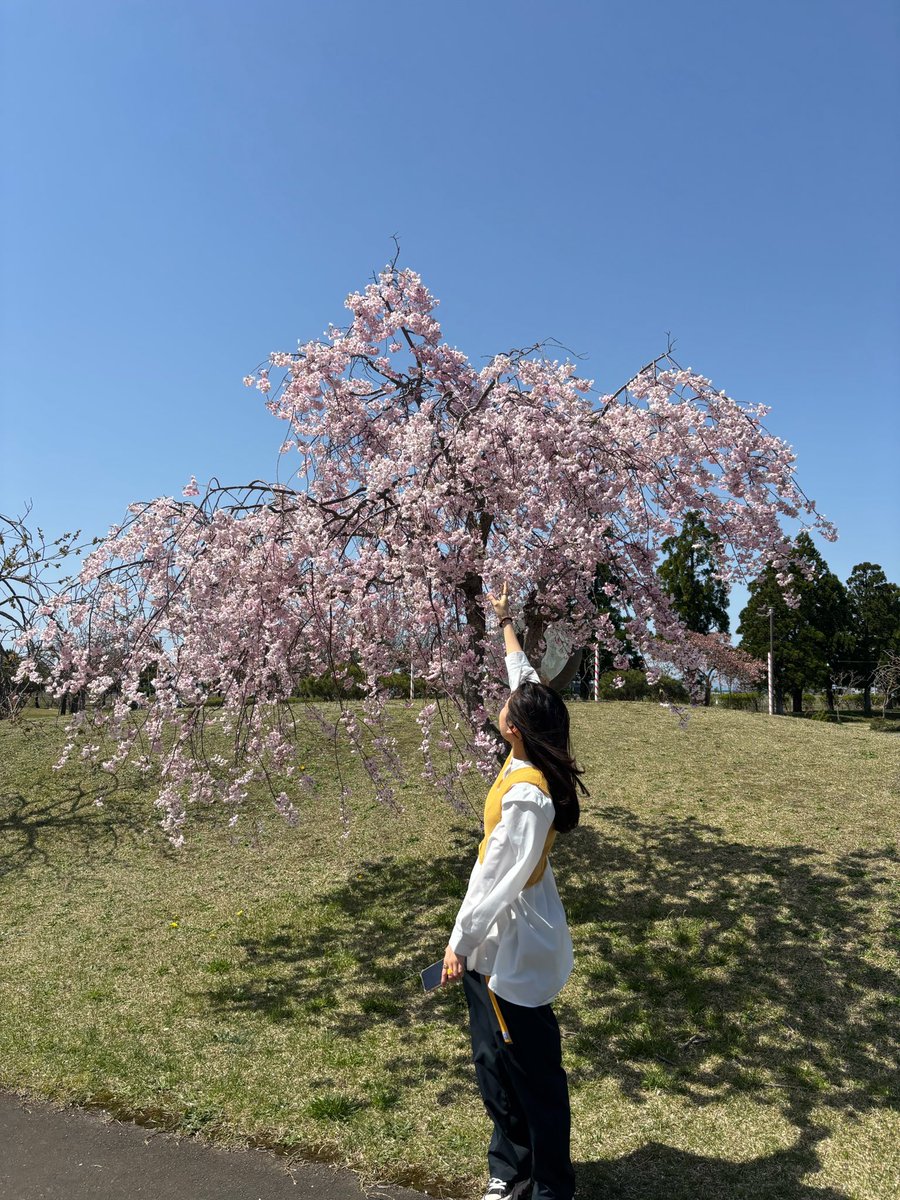 ともっっっちゃん🐾 tweet media