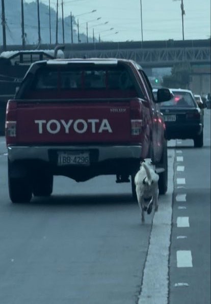 Alerta Sambo tweet media