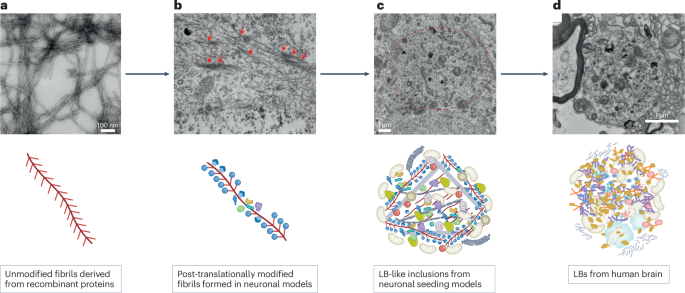 NatureStructMolBiol tweet media