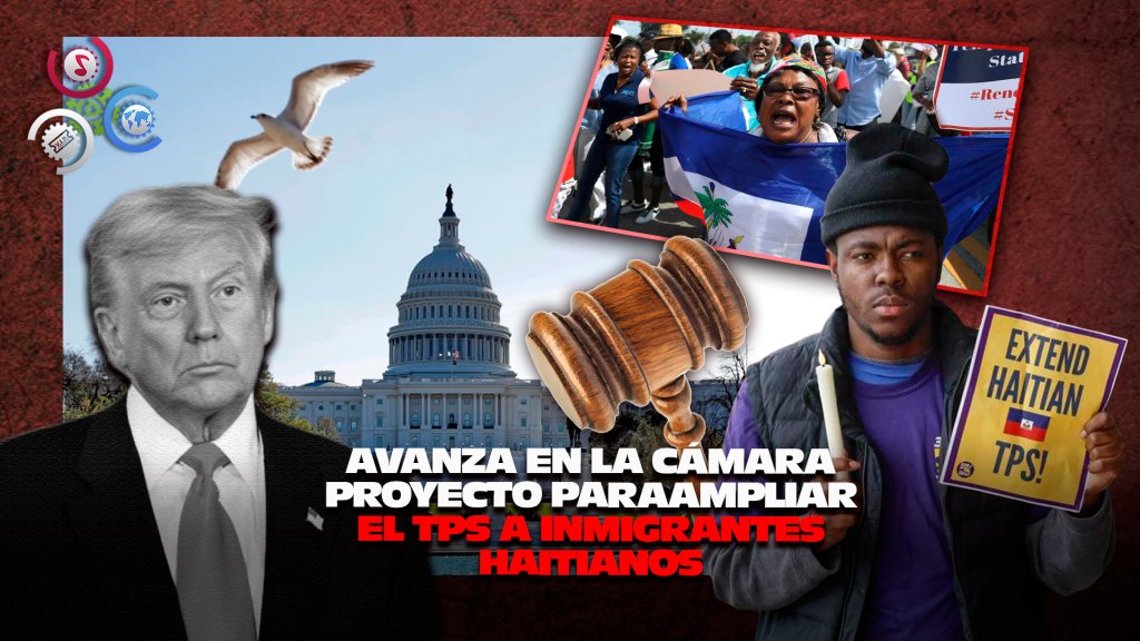 cachicha tweet media