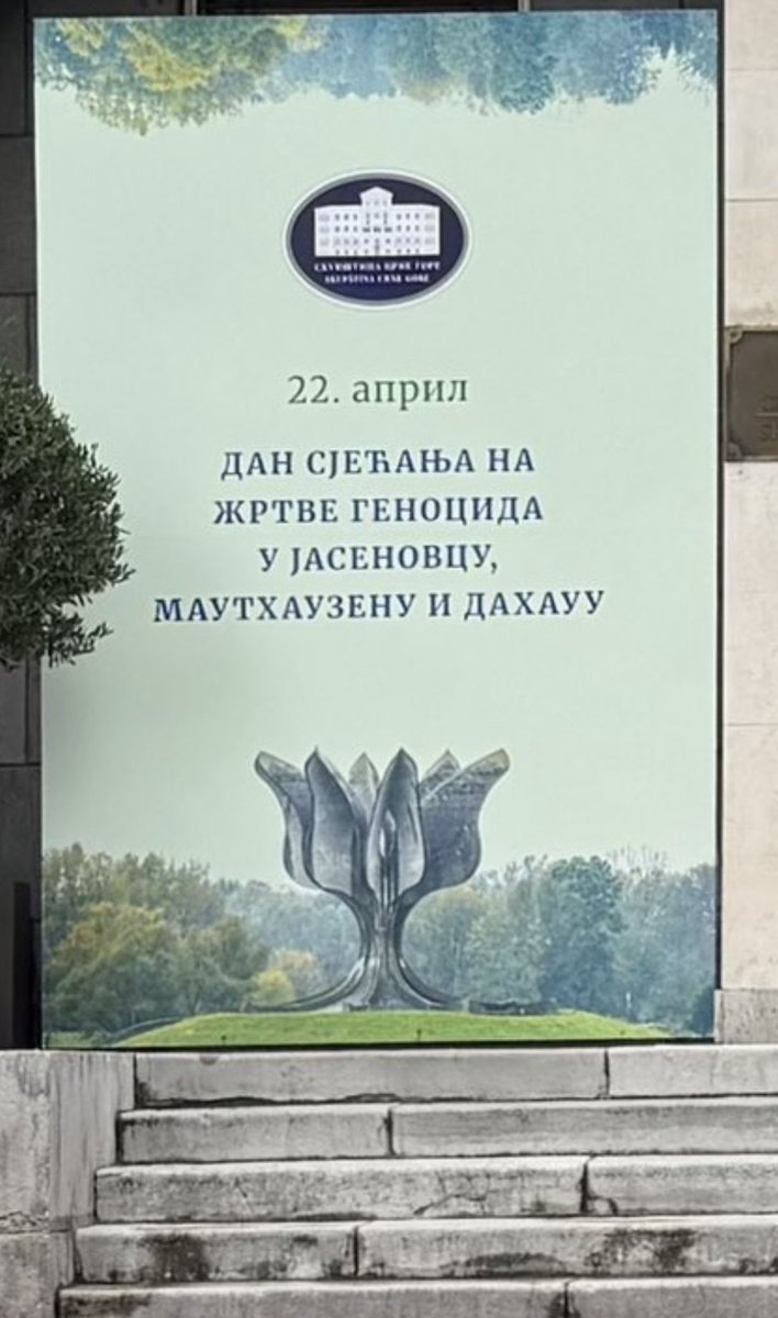 Jasmin Bojadžić tweet media