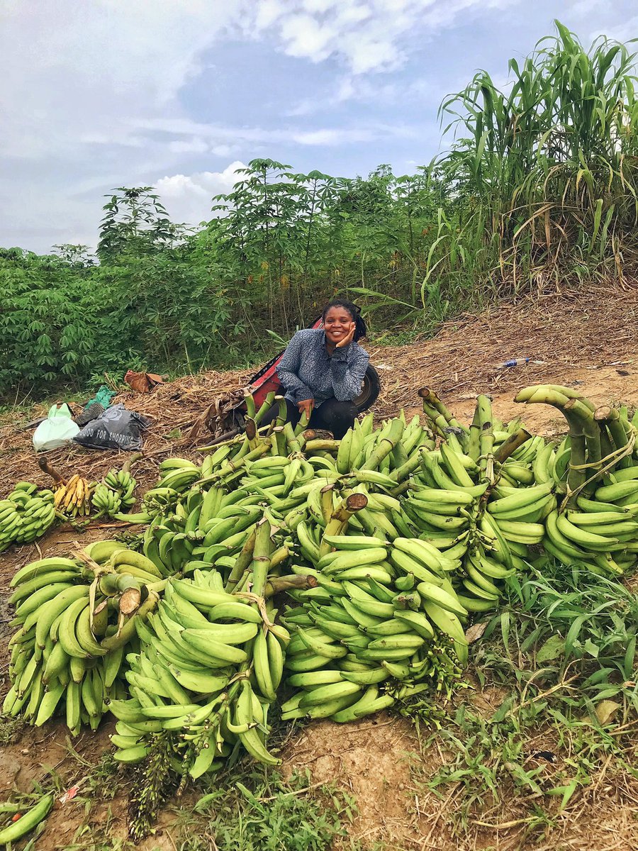 Enibo Albert tweet media